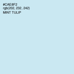 #CAE8F2 - Mint Tulip Color Image